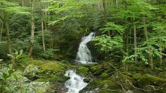 Great Smoky Mountains National Park Tourist Place In United States Of