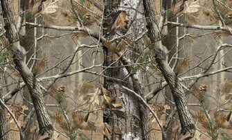 Camo Realtree