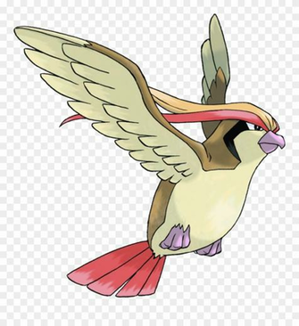 Pidgeot Png Clipart Pinclipart