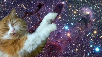 Galleries Related Cat Trippy Background