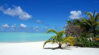 Maldives Wallpaper Beach
