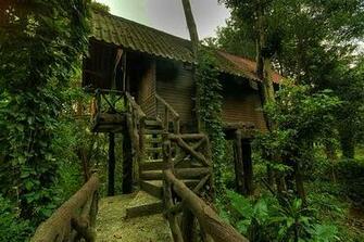 Top Beautiful And Amazing Tree House Wallpaper Pics HDhut
