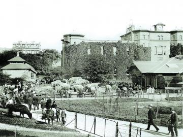 Vintage Photos Of Nyc S Central Park Cond Nast Traveler