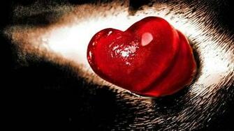 Valentines Day Wallpaper Happy HD