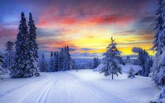 Trees Snowy Road Sunset Wallpaper Winter