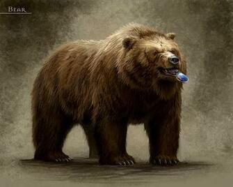 Animals Bears Glasses Sunglasses Wallpaper Hq