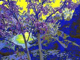 Psychedelic Nature Category Wallpaper Image