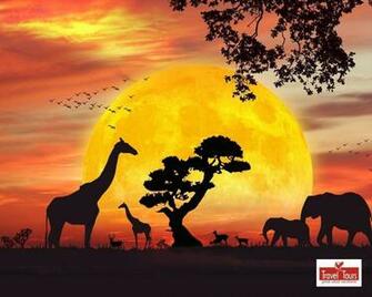 Safari Wallpaper