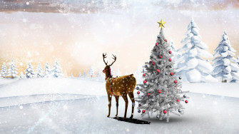 Reindeer Wallpaper
