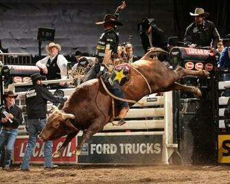 Bull Riding Background
