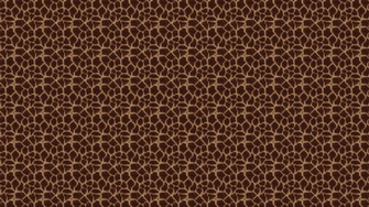 Image Giraffe Print Desktop Pc Android iPhone And iPad Wallpaper