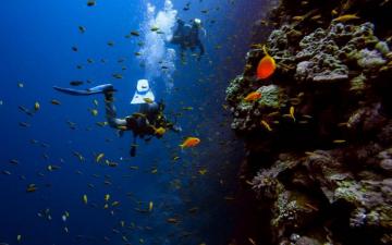 Scuba Diving Pictures HD Image