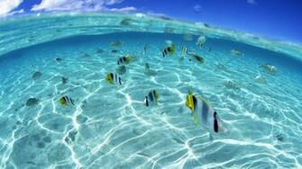 Nature Ocean Split Best Widescreen Background Awesome