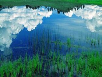 Water Scenes HD Wallpaper Scene