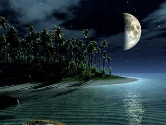 3d Moon Forrest Wallpaper Desktop Horse