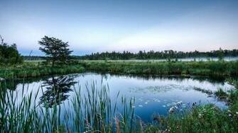 Wallpaper Wetlands In The Morning HD Picture Image