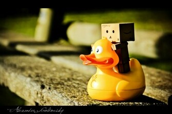 My Danbo Wallpaper