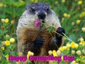 Happy Groundhog Day Computer Desktop Wallpaper Pictures