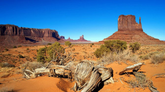 Desert Wallpaper
