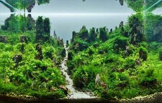 Aquascape Wallpaper Top Background