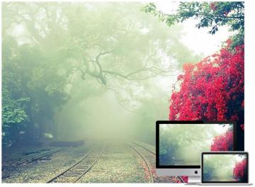 Beautiful Nature Wallpaper For Your Desktop