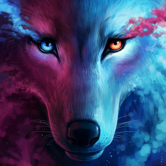 The Galaxy Wolf iPad Air HD 4k Wallpaper Image