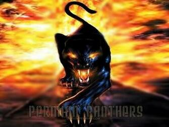 Permian Panthers S