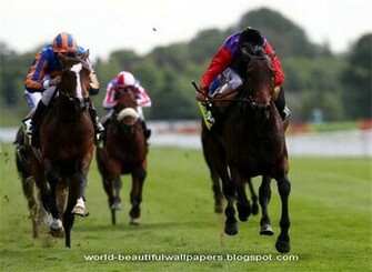 Beautiful Wallpaper Racing Horse