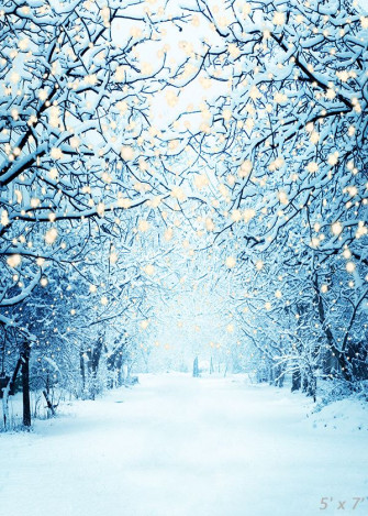 Winter Snowy Lane With Lights Photography Backdrop Sbh0299 In