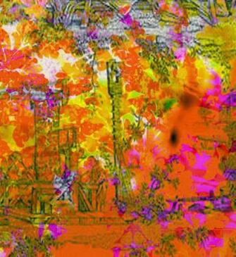 Fabric Colour Crash Orange Toile Kerrie Brown