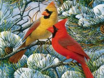 Winter Cardinals