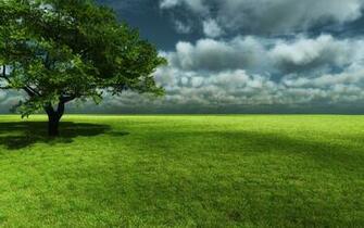 Background Grassl Mountain Golden High Wallpaper HD