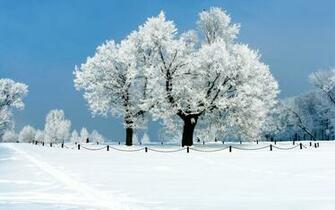 Snow Covered Winter Nature HD Desktop Wallpaper