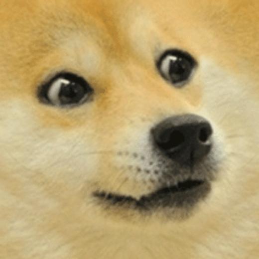 Doge Know Your Meme
