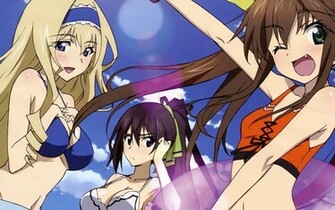 Infinite Stratos Wallpaper Houki Shinonono