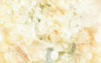 Wallpaper Pictures