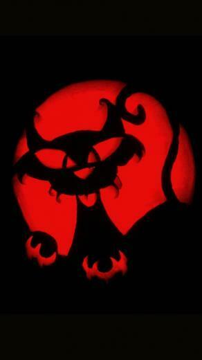 Crazy Cat Pumpkin Carving Halloween iPhone Wallpaper Ipod