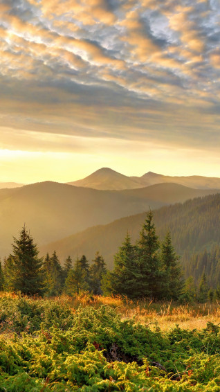 Nature Scenery iPhone Wallpaper HD