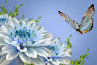 HD Wallpaper 1080p Nature Love Mobile