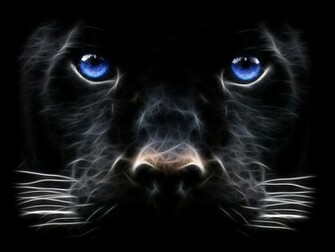 Wallpaper You Black Panther