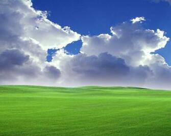 Windows Xp Bliss Wallpaper