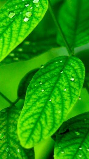Samsung Galaxy S6 Wallpaper Edge
