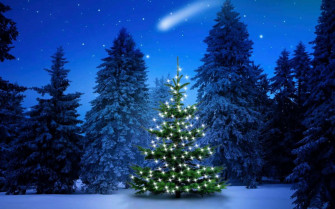 Christmas Snow Background Wallpaper