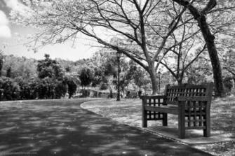 Photos Wallpaper Paris Black And White