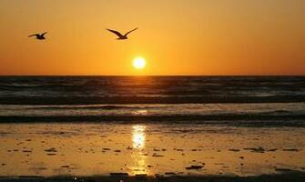 Sunrise Wallpaper Background