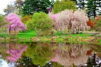 Spring Time Traveler Photo Contest National Geographic