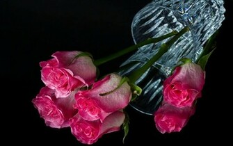 Black With Pink Flowers Wallpaper Flower Background