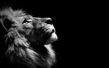 HD Profile Wallpaper Top Background