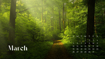 And Customizable Nature Desktop Wallpaper Templates