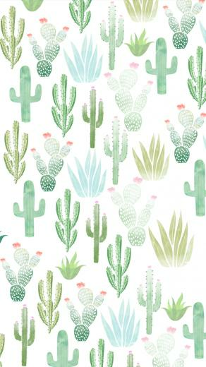 Abbyxxnicole On Wallpaper Fondos De Cactus Para